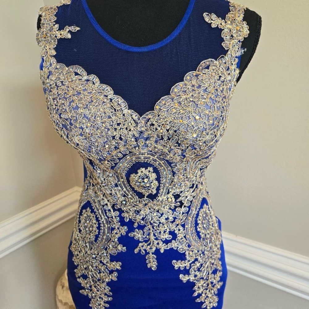 Elegant Blue and Silver Embellished Dress